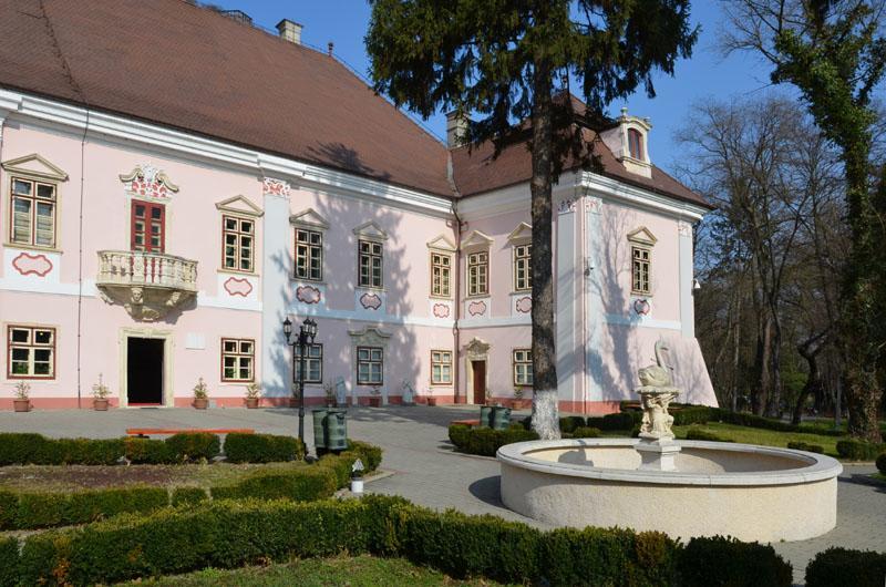 Vila Europa Cluj-Napoca Eksteriør billede